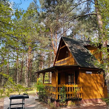 Вилла Lesniczowka Rzadza Экстерьер фото