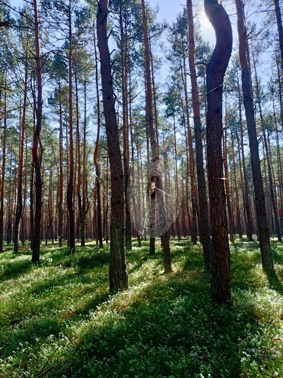 Вилла Lesniczowka Rzadza Экстерьер фото