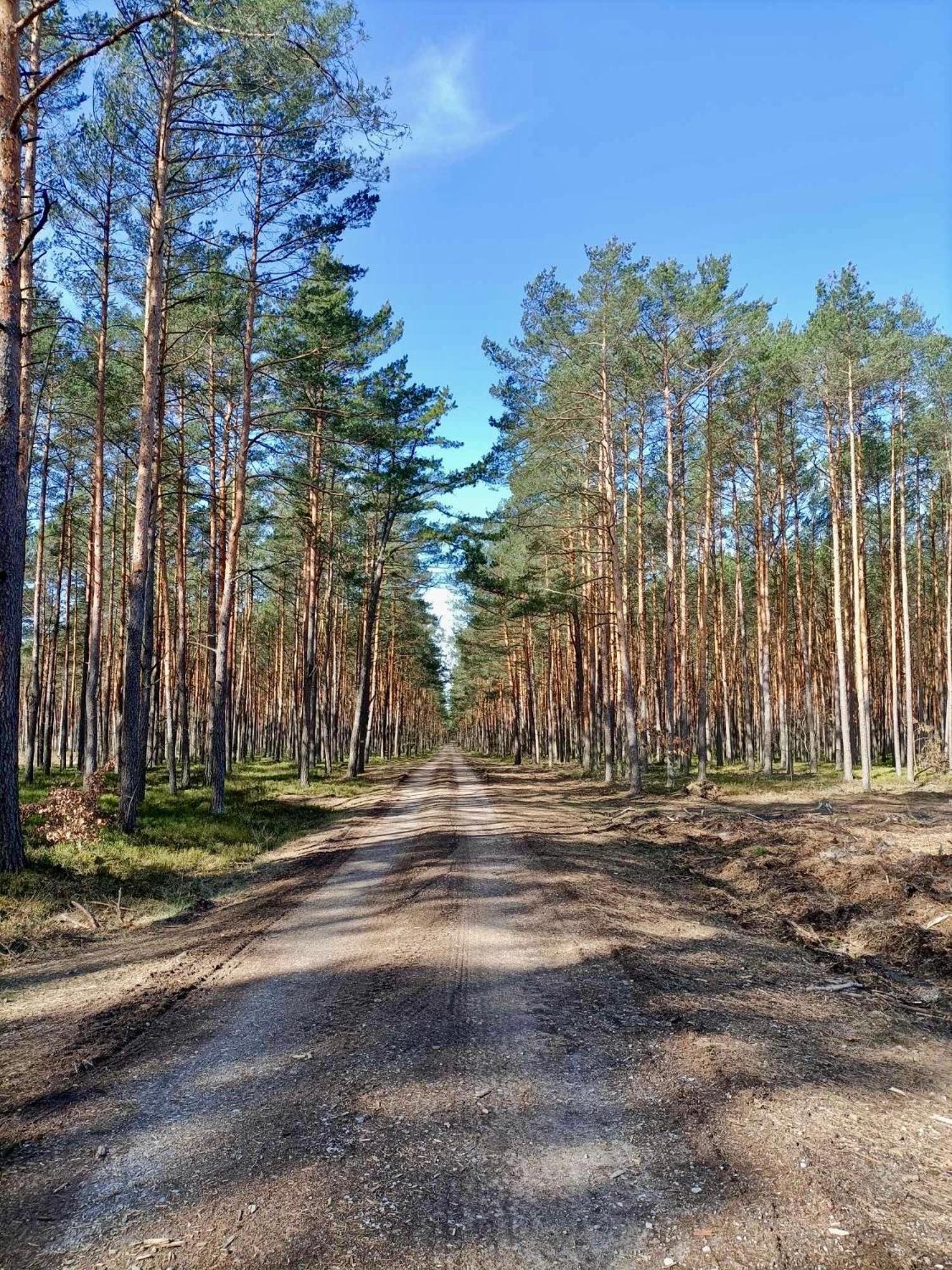 Вилла Lesniczowka Rzadza Экстерьер фото
