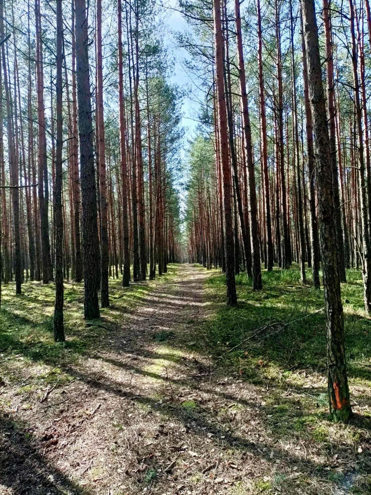 Вилла Lesniczowka Rzadza Экстерьер фото
